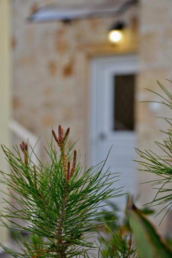 Evdokia Ii Hébergement de vacances Makrýgialos
